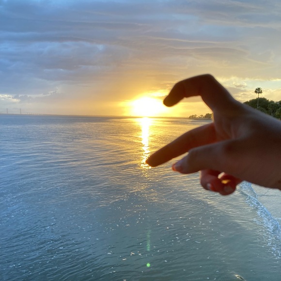 Meet your Posher, Dakota - Picture 1 of 1